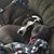 Mandy Behler's profile image