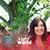 Marcela Villarruel's profile image
