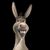 Bryan D Ferrell's profile image