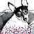 Beth Noteboom-Howe's profile image