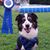 Sarah Hughes's profile image