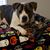 Sandra Owenby's profile image