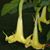 Betty Stinson Woods's profile image