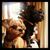Patricia Harter's profile image