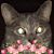 Joseph A Shuey Jr's profile image