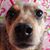 Lynn Reece Broderick's profile image