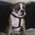Victoria Young's profile image