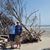 StevenandLinda Wheeler's profile image