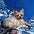 Geraldine Hale's profile image