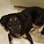 Karrie Carnes-Hill's profile image