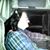 Steven McKnight's profile image