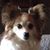 Jennifer King Kreis's profile image