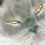 Gloria Cecilia's profile image