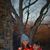 Christina Brickley Rodriguez's profile image
