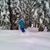 Nyle Orourke's profile image