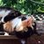 Sali Grace Magee's profile image