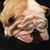 Jeff Shope's profile image