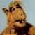 Dion Rodriguez's profile image