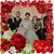 Alicia Reynoso's profile image