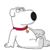Steve Barrucci's profile image