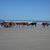 Mary Kay-Deeter's profile image
