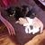 Carol Sue Goding's profile image