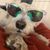 Debra Knudson's profile image