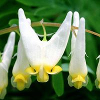 柯永森's profile image