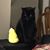 Sharon Vollmer's profile image
