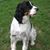 Ellen Heise's profile image