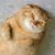 Penny Hartjes's profile image