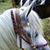 Beverley Thouvenin's profile image