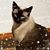 Lucy Beltran's profile image