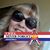 Stacey Poe-Fritts's profile image