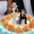 Robo N Christie Roberson's profile image