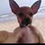 Jimmy D Smith's profile image