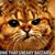 Lisa Vaccaro's profile image