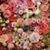 Angie Treadaway's profile image