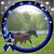 Charlotte Payette's profile image