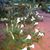 Cindy Guthrie Helms's profile image