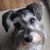 Kathy Tyner's profile image