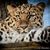 Victoria Boettger Keough's profile image