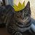 Trisha Goodridge's profile image