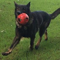 Michele Lefeaux's profile image