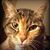 Aaron Colwick's profile image