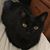 Shannon Jackson's profile image