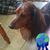 David Wilmot's profile image