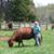 Rosalyn Koontz's profile image