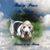 Paige McCrary Glisson's profile image