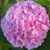 Brenda Smith's profile image
